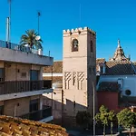 Divi Centro *