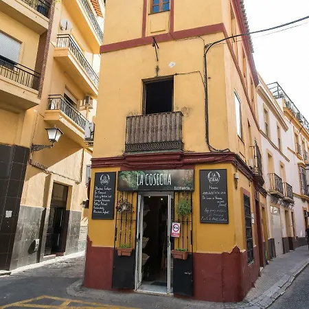 Daire Divi Centro *